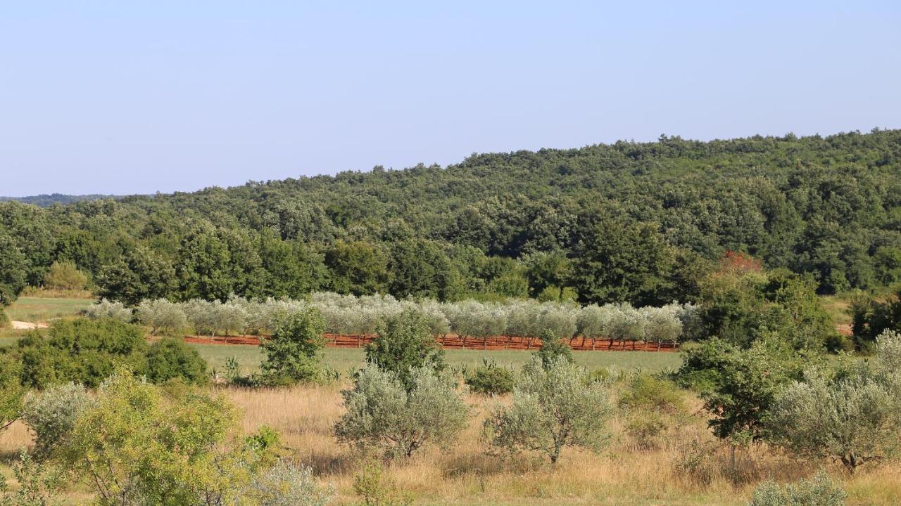 Casa Conte Istria Villa Kanfanar Exteriör bild
