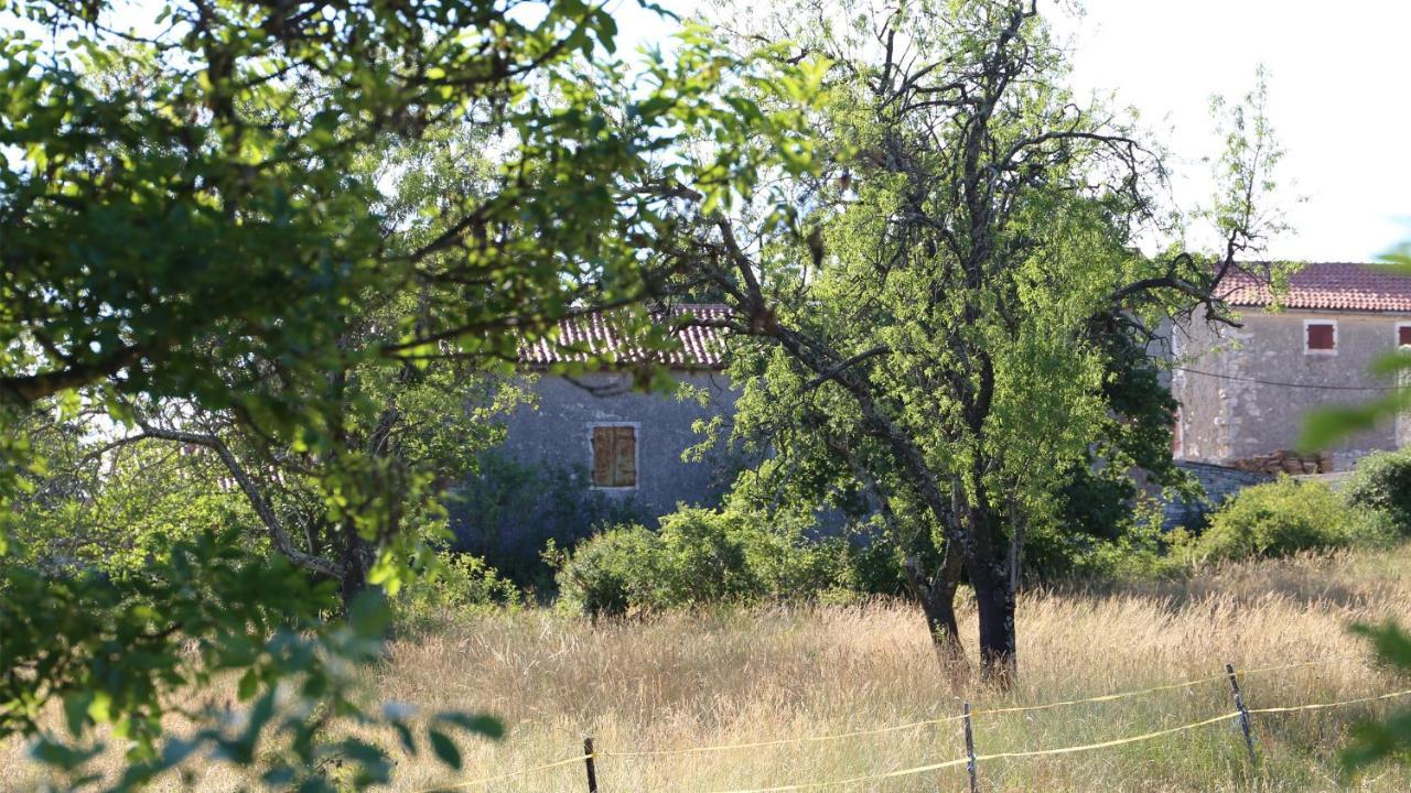 Casa Conte Istria Villa Kanfanar Exteriör bild